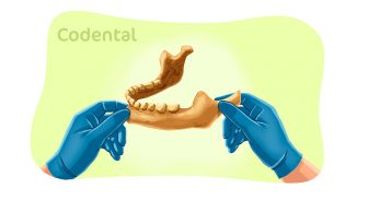 Odontologia Forense: tudo que você precisa saber sobre essa especialização