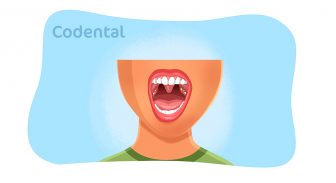 Anatomia da mandíbula em detalhes - Codental Blog