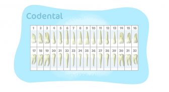 Guia Completo do Odontograma: Benefícios, Tipos e Como Preencher
