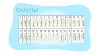 Odontograma para imprimir e entender