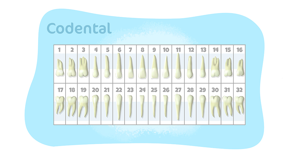odontograma para imprimir