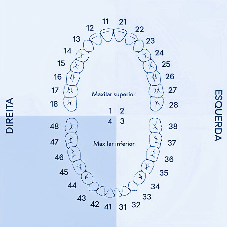 Numeração dos dentes