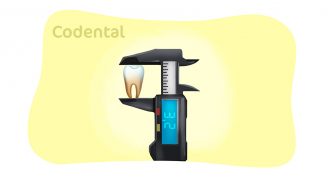 Odontometria: conheça sua importância