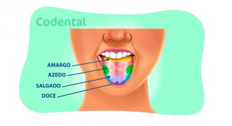 Papilas gustativas: quais os tipos e como funcionam?