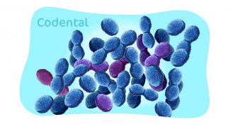 Enterococcus faecalis na odontologia: entenda tudo sobre!