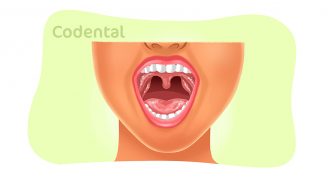 Mucosa bucal: saiba tudo sobre a histologia da cavidade oral!