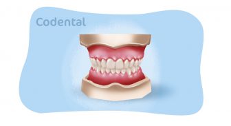 Tudo o que você precisa saber sobre Manequim Odontológico