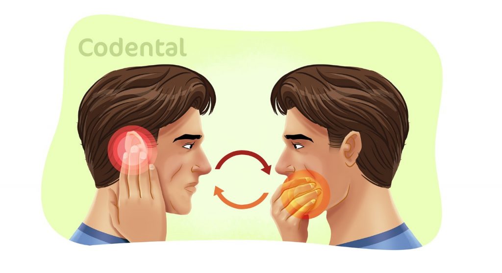 Relação entre odontologia e a fonoaudiologia